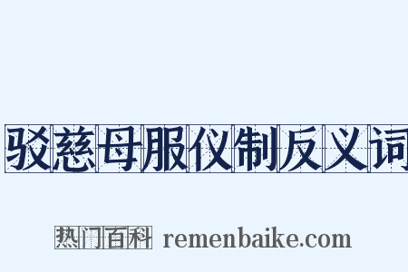 驳慈母服仪制反义词是什么意思的图片